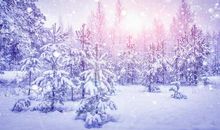 藏在雪花里的精彩