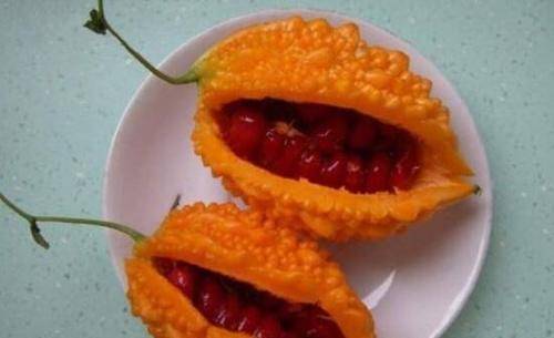 蟾蜍和玫瑰