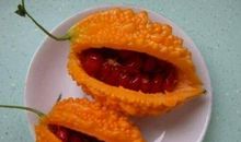 癞蛤蟆和玫瑰花