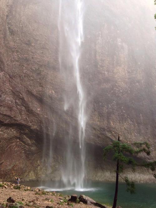 我眼中的大龙球