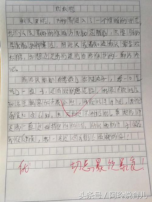 父亲的作文800字