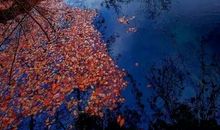 五彩斑斓的秋天