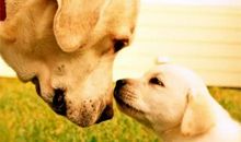 从来没有这样感动过