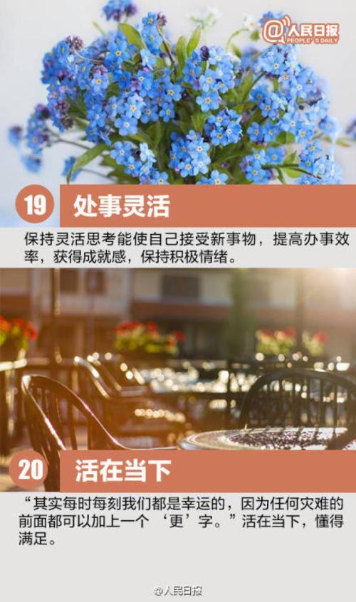 我在薄雾中寻找阳光
