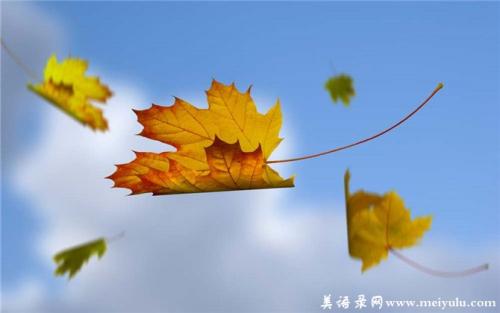 叶子落下时