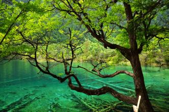 四个季节校园风景如画