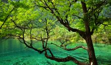 校园四季美如画