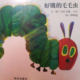 毛毛虫的启示