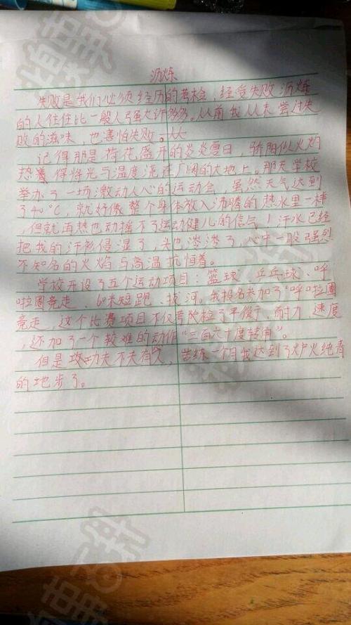 关于弟弟的组成
