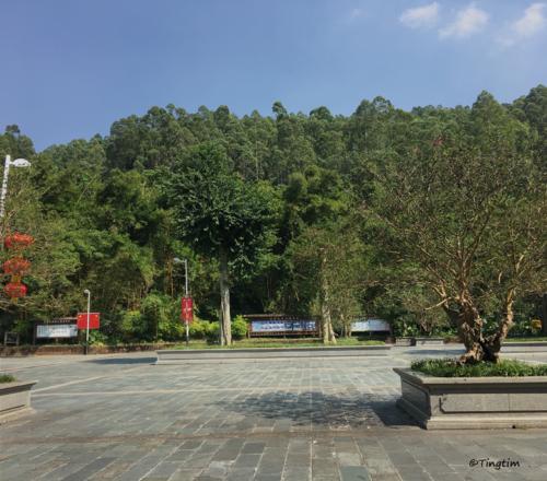 小T，我为什么这么爱你