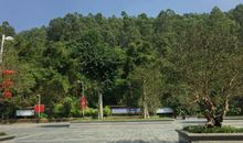 小t，我为什么那么爱你