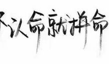 你凭什么不努力