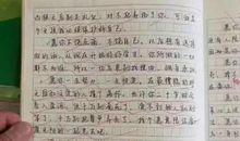 令我充满感激的记忆作文