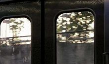 你的浅笑我永远记得