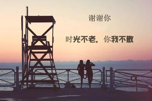 我想说谢谢你