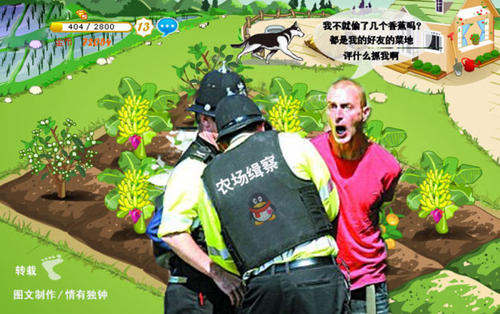 偷蔬菜的乐趣