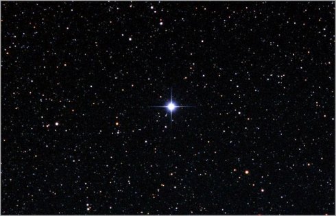 生命中最灿烂的星星