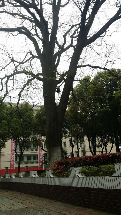 等待钟声响起