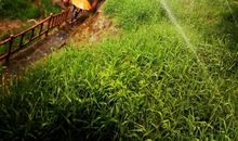 遇见最美的彩虹