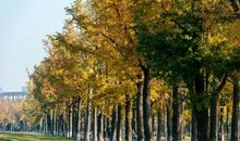 校园里最美的风景