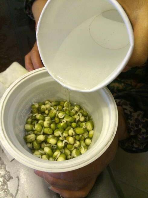 豆芽改造