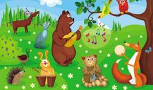 我与兔子的故事