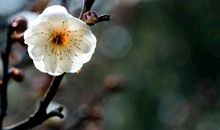 妈妈我懂你的心意