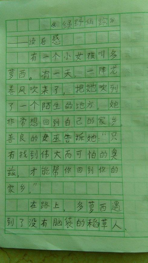 关于绿野仙踪的思考
