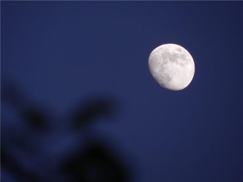 秋天的夜晚走进校园