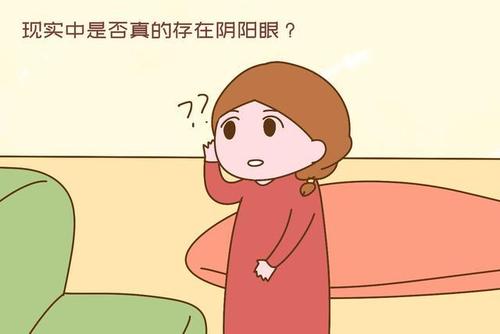 我家的好人
