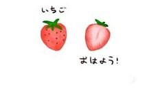 草莓，我的最爱