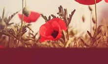 选择了，就别后悔