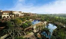 我和桃花姐姐有个约定