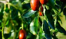 《穿越塔克拉玛干沙漠》读后感