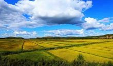 品味文学的滋味