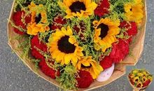 生命中的一束暖阳