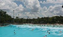 快乐的游泳时光