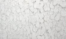 一张神奇的白纸