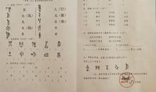 甲骨文学校读后感