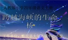 跨越海峡的生命桥读后感