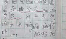 变形记作文450字六年级