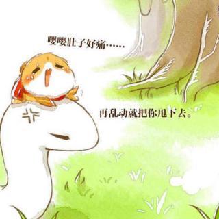 我与小仓鼠的故事