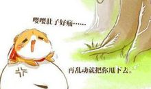 我与小仓鼠的故事