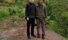 那人·那树·那条路