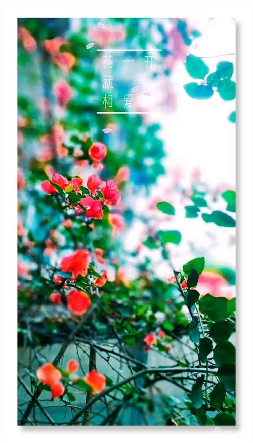 花间潇湘