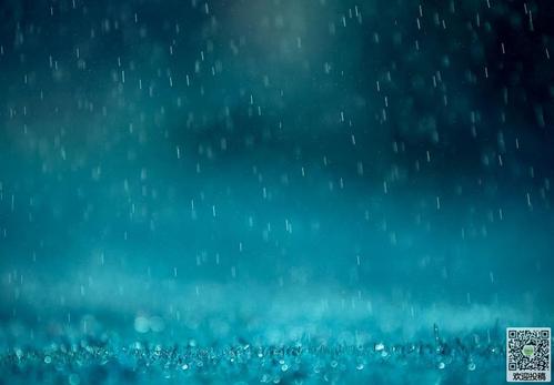 雨天校园构成300字