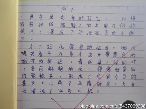 小燕子回家了