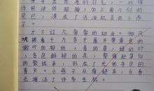 小燕子回家了作文