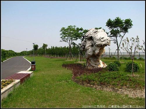 参观湿地公园和沙溪古镇