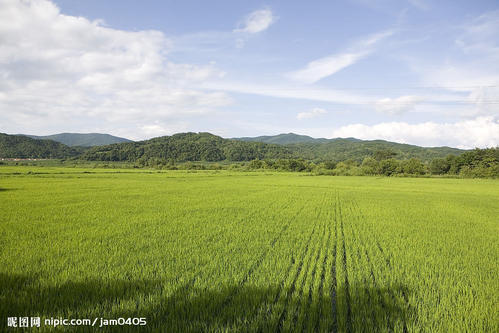 山村的四个季节